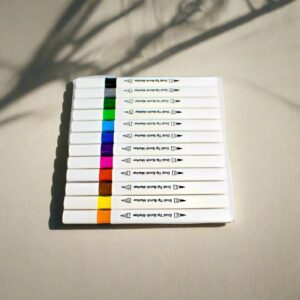12 Colours Dual Brush Coloured Pens Art Markers Fine & Brush Tipped