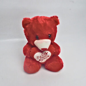 Red Teddy Stuff Toy